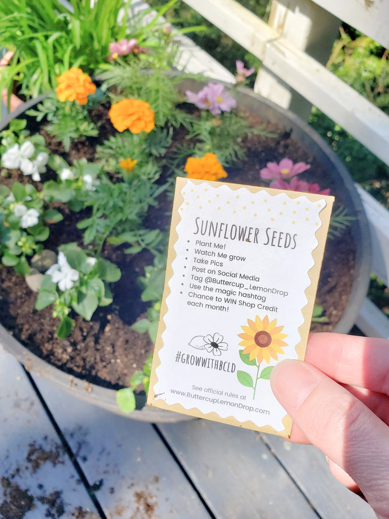 Let's Grow Together!